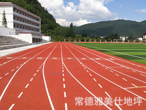 銅仁中學(xué)塑膠跑道、草坪