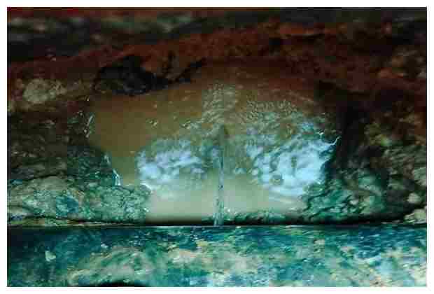 東城污水處理氣浮機的優(yōu)勢與應用分析