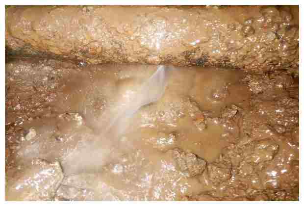 人與污水處理廠的協(xié)同發(fā)展探索