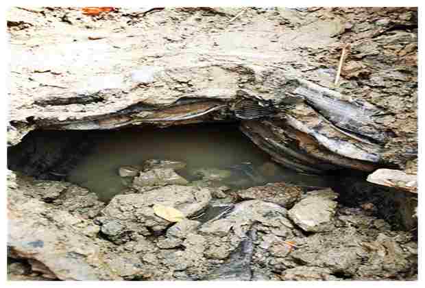 車公莊抽化糞池電話是多少查詢與服務詳解