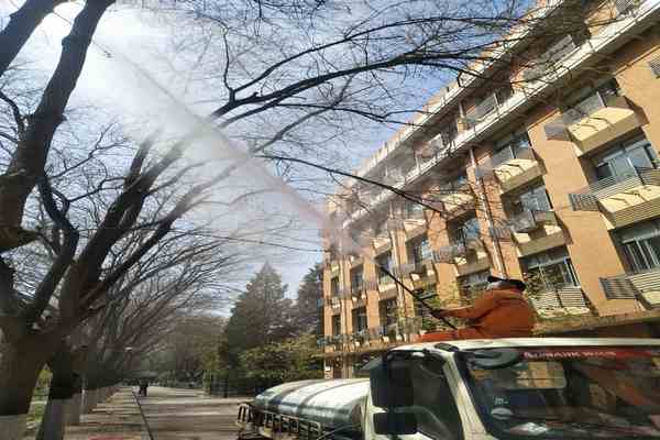 樹木打藥當晚下雨，藥效還在嗎？