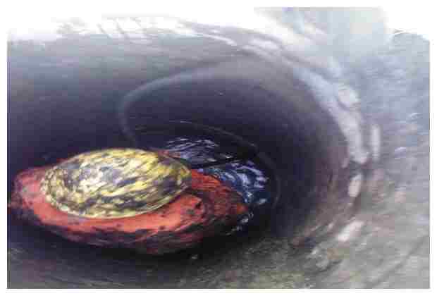 長林莊村廢油渠管道清洗的原因